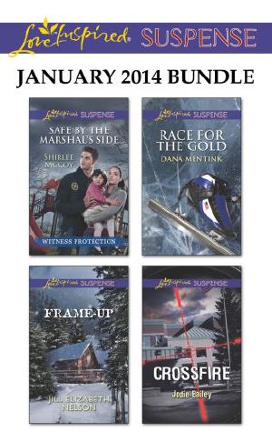 [Shirlee McCoy 01] • Love Inspired Suspense January 2014